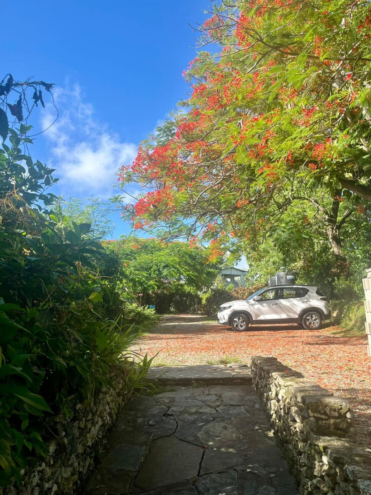 Ecolodge Tubagua Puerto Plata Exterior photo