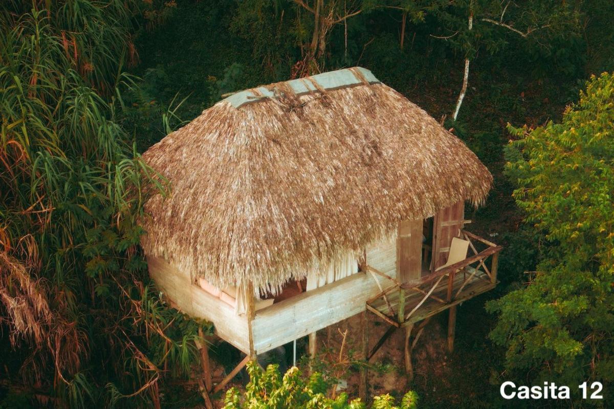 Ecolodge Tubagua Puerto Plata Exterior photo